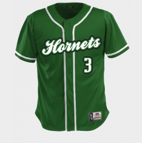 hornets baseball jersey